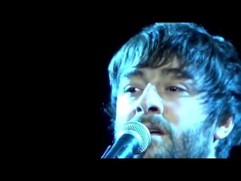 The Leading Guy - MR WOLFF