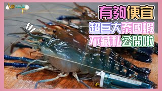 【釣蝦小益思】有夠便宜的釣蝦場  大公蝦兩小時只要$600  你來過嗎??  #釣蝦 #i呀我的蛋 #新聞 #主播 Shrimpfishing  エビ釣り  새우 낚시