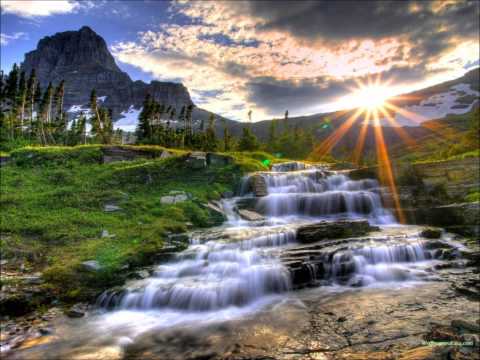 Baka Pygmies - Estrellas y abejas, eclosión de la eternidad (MetaNihil remix)