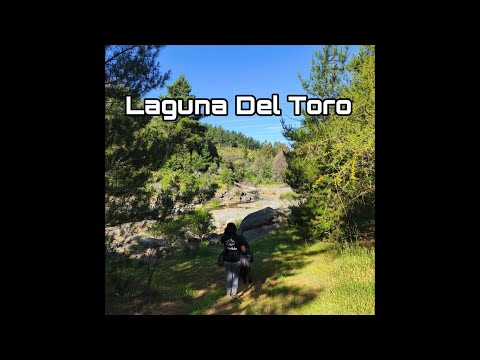 Laguna Del Toro - Batuco (Comuna Pencahue - Region Del Maule)