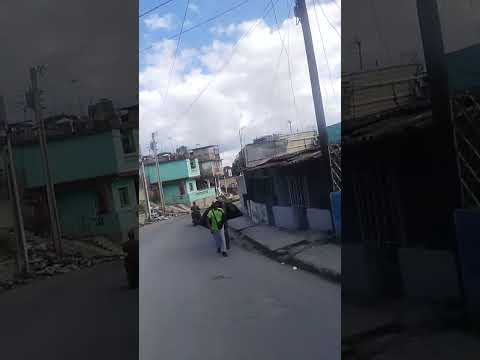 Regla La Habana #calles