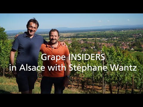 Grape INSIDERS: in Alsace with Stéphane Wantz