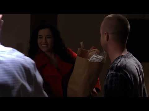 Breaking bad Mike goes over the rules with the Vamanos pest team