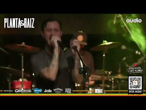 Planta & Raiz - O Ragga / Atual Situação [Live do Planta Ao Vivo na Audio]