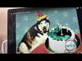 Elmo World Dogs Quiz Cake