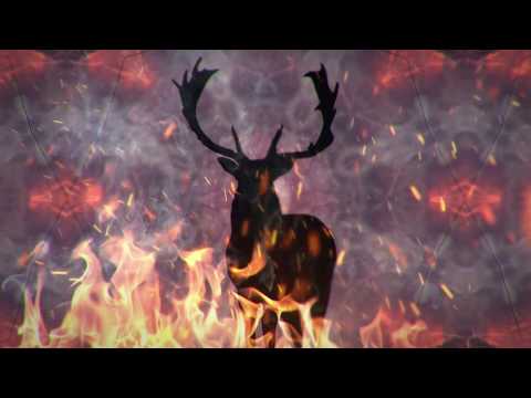 DIM3NSION - Witcher (Official Music Video)