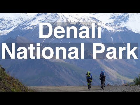 Denali National Park // Riding the Park Road