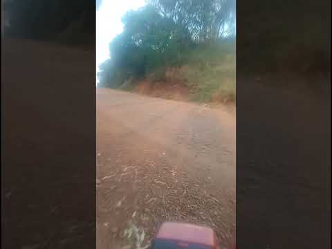 lindo dia na entrada do morro do Cristo próximo ao xaxim em Candido de Abreu PR