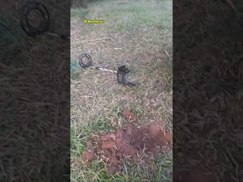 Fomos passar detector de metais onde existia uma fazenda. #shorts #detectorismo  #minasgerais