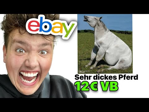 EBAY FAILS bei denen ich TRÄNEN lache 😂 😂