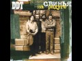 DDT - Инопланетянин [Свинья на радуге 1982] 