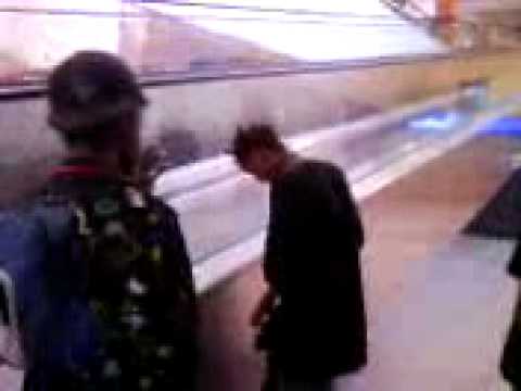 Datson joker réel bima side