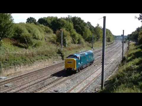 Colas/SRPS 37025 & DPS 55009/D9009 take over the East Coast Mainline - 16th September 2018