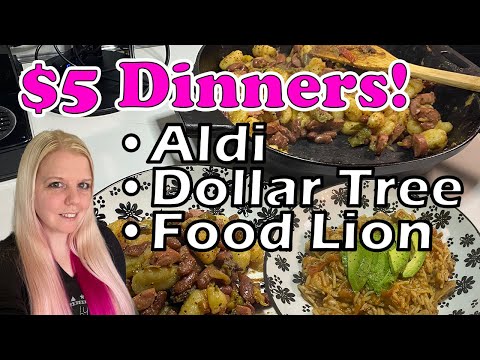 $5 Dinners • Realistic Budget Cooking • Aldi | Dollar Tree | Food Lion