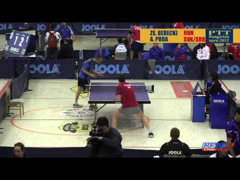 Para Table Tennis Standing team match Berecki HUN vs Poda SVK-SRB.mov