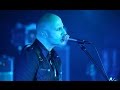 Mad Heads - Radioactive Rock-Black Cat (Live in ...