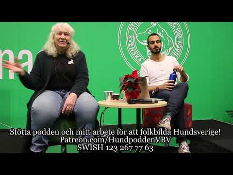 Är hunddagis bättre än att de lämnas ensamma hemma?