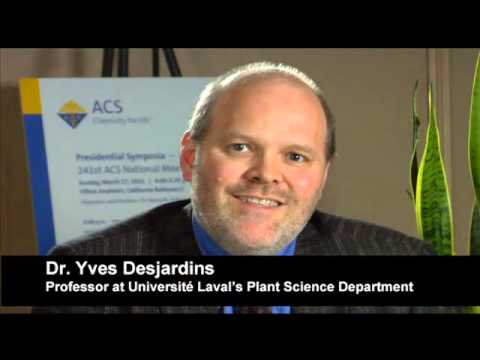 download lagu mp3 mp4 Grade B Maple Syrup Health Benefits, download lagu Grade B Maple Syrup Health Benefits gratis, unduh video klip Grade B Maple Syrup Health Benefits