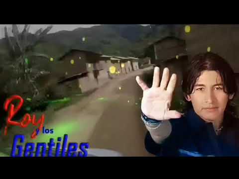 Sufro Por Tu Amor - Roy Y Los Gentiles