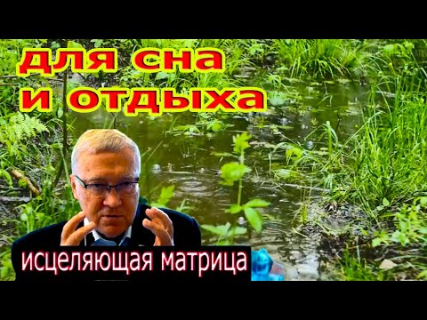 Матрица Гаряева для Сна и Отдыха 100% сон гарантирован