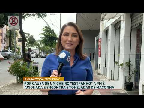 PM apreende cinco toneladas de maconha em imóvel em Uberlândia (MG)