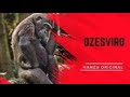 Kusvirwa Nemukomana We Mazai