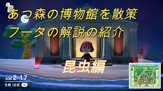 【あつ森】昆虫の解説をしながら博物館めぐり【フータ解説】