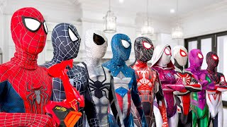 What If Many SPIDER-MAN in 1 HOUSE...?? || SPIDER-MAN's Story New Season 2 ( All Action, Funny...)