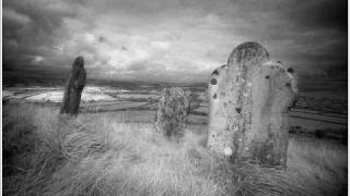 The Bobby Fuller Four - A New Shade of Blue