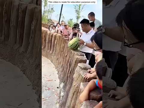 TIDAK BERHASIL KASIH MAKAN KUDA NIL❗️#videoviral #lucu #hewan