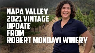 2021 vintage update from Nova at Robert Mondavi Winery