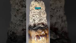 Close up White Ash VS Black Ash