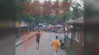 В зоопарке на женщину упало дерево