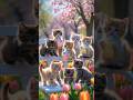 Dudi Dudi Dum Dum Latest Trending Song Dance Fun Vibes