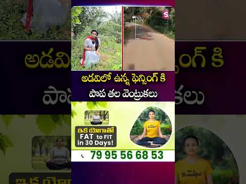 అడవిలో ఉన్న ఫెన్సింగ్ కి పాప తల వెంట్రుకలు #GirlMissingCase #Forest #Evidence #Girl #Hair #SumanTv
