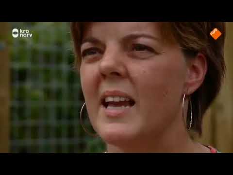 🔶 De Rijdende Rechter - Schutterende schutting (03-11-2015)