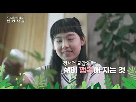 비디오 22