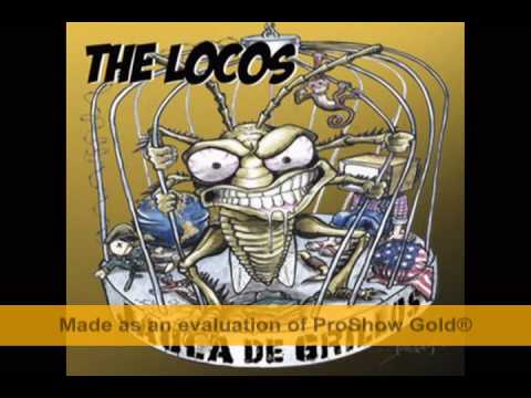 The locos Paletovision