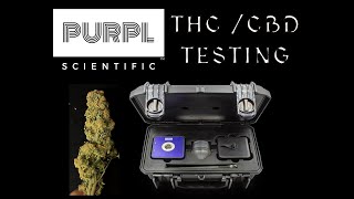 Getting Cannabis Tested for THC Potency With The Purpl Pro