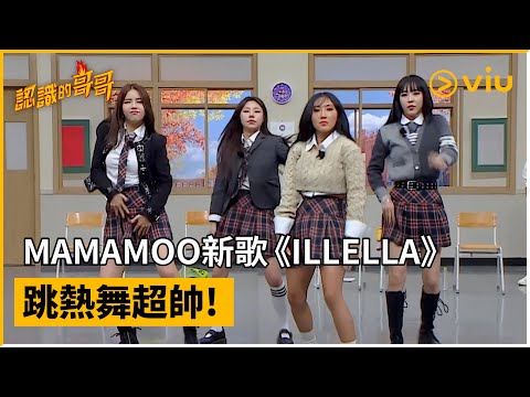 《認識的哥哥》第353集│ MAMAMOO新歌《ILLELLA》 跳熱舞超帥！ │Viu韓綜線上看