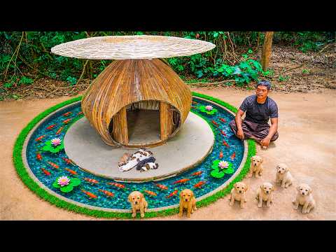 Dog Patch Coy