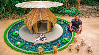 Rescued Puppies Get a Luxury Bamboo House with a Giant Koi Pond!