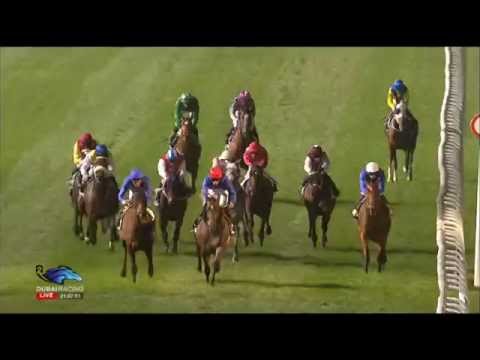 12.02.2015 Meydan (Dubai/UAE) 5.Race The Range Rover Trophy - Handicap 2.400 m