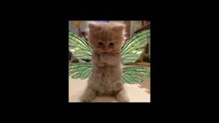 Download lagu feels ( speed up ) mp3 Download lagu feels ( speed up ) mp3