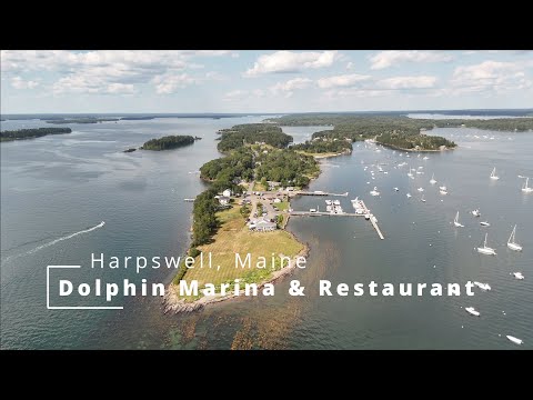 Dolphin Harpswell