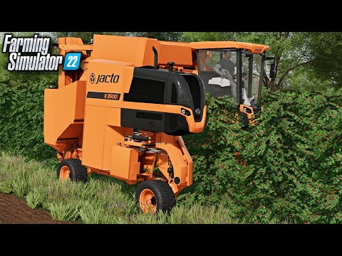New Map & Coffee Crop! Recanto Da Alvorada! | Farming Simulator 22