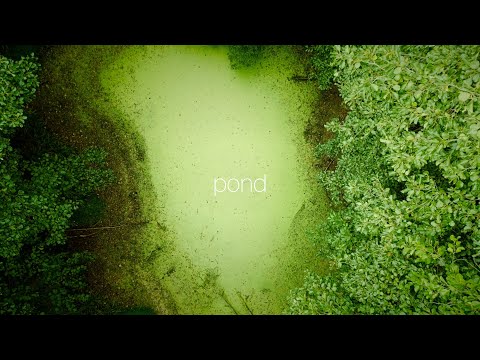 shortfilm | pond