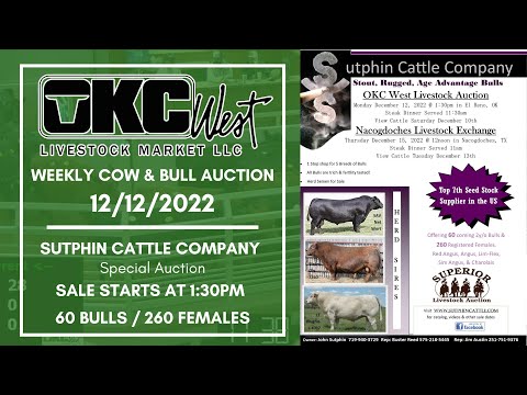 12/12/2022 - OKC West Weekly Cow & Bull Auction & Sutphin Cattle Company Auction
