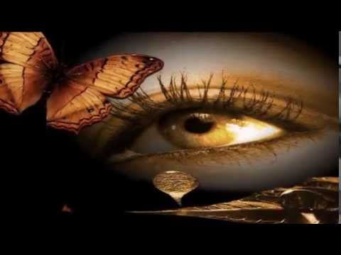 Terry Oldfield Dreamer