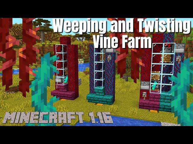 How To Farm Twisting And Weeping Vines In Minecraft